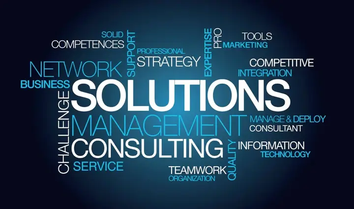 Professional management and technology consulting